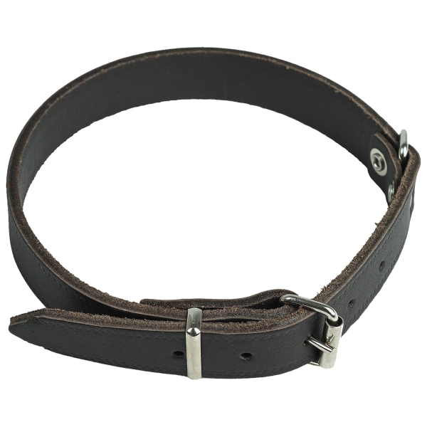 Halsband met klinknagels van bruin zadelleer