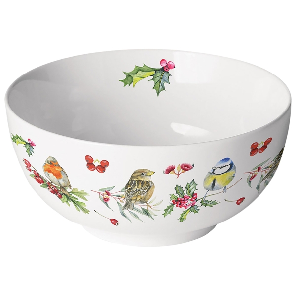 Schaal met vogels in de winter