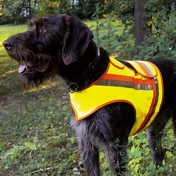 Hondenreflector vest