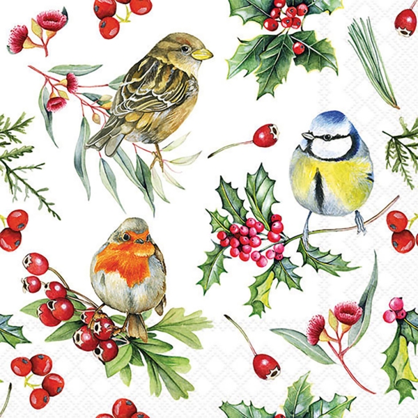 Servetten met vogels in de winter