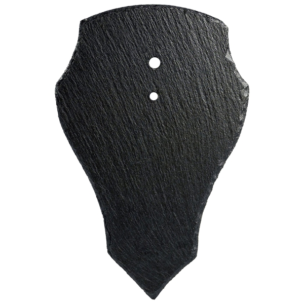 Hoorns bestuur trofee leisteen voor reebok